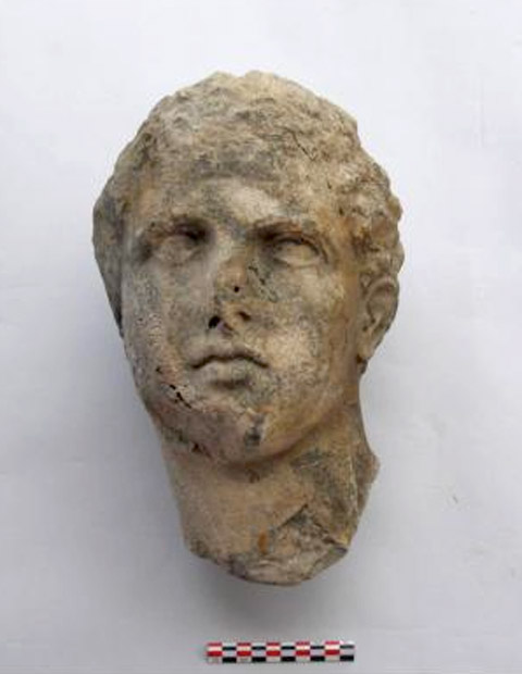 発見された大理石像の頭部